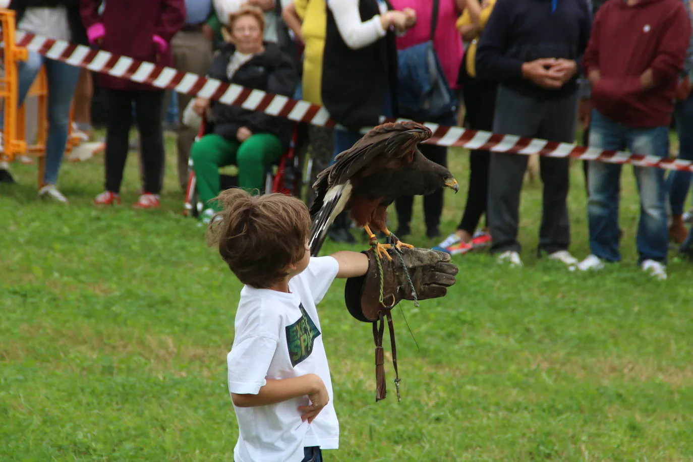 Un niño disfruta participando en el espectáculo de aves rapaces.